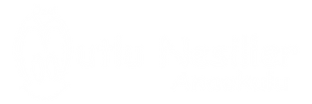 Mutlu Nesiller Anaokulu | 0 532 544 36 12